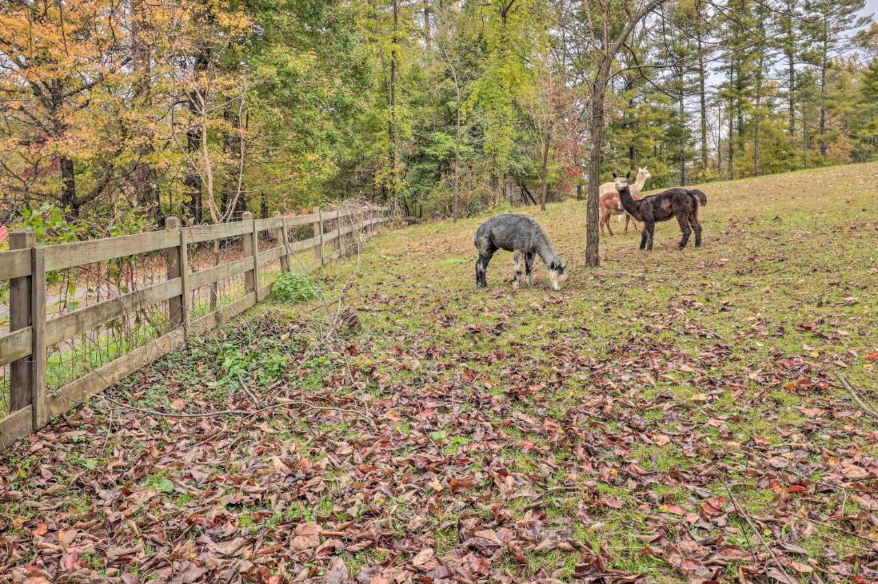 Rustic Hendersonville Farm Studio With Private Deck Dış mekan fotoğraf
