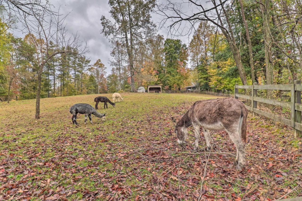 Rustic Hendersonville Farm Studio With Private Deck Dış mekan fotoğraf