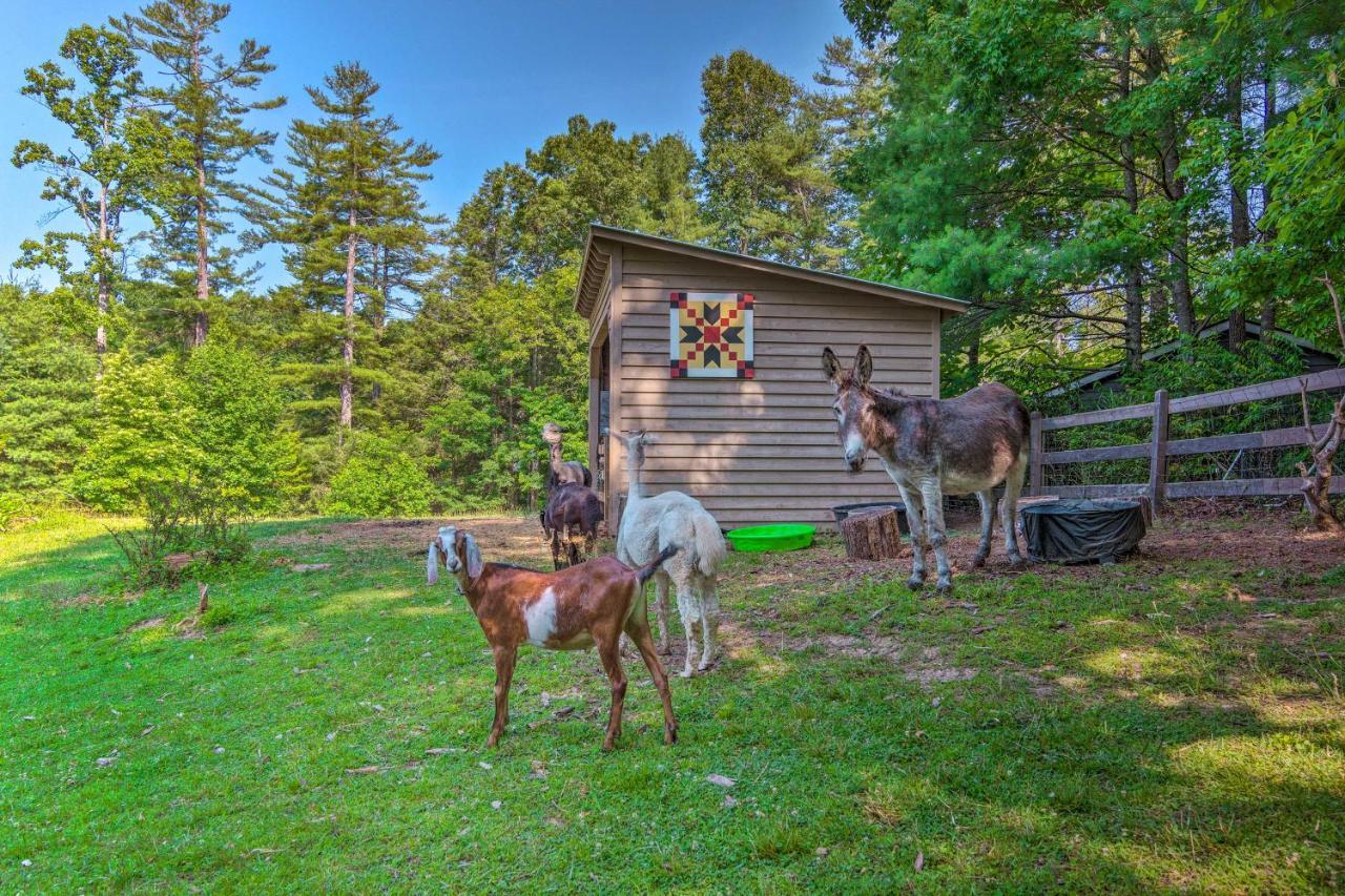 Rustic Hendersonville Farm Studio With Private Deck Dış mekan fotoğraf